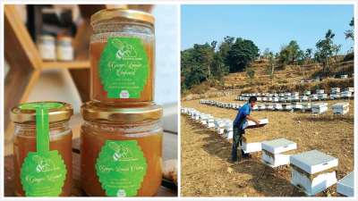 Naagiko Honey : Sustainable Business and Community Upliftment