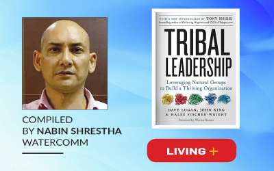 Tribal Leadership : Leveraging Natural Groups to Build a Thriving Organisation