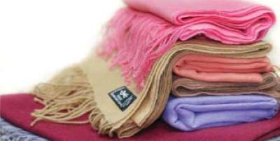 Export of Pashmina Items Increased by 15 Percent Last Year