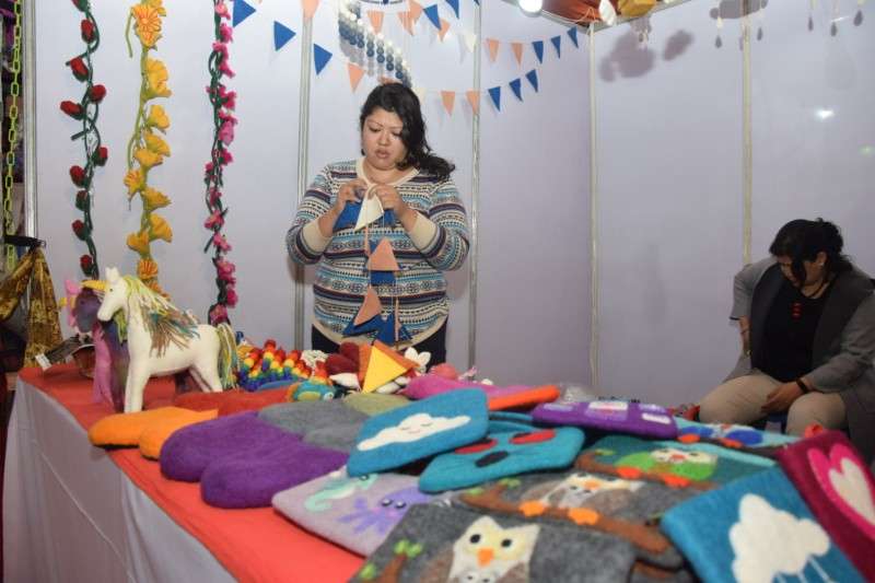 Govt to Support Handicraft Producers