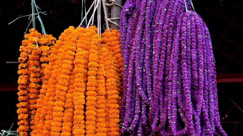 Production of Flowers for Tihar Decline this Year 