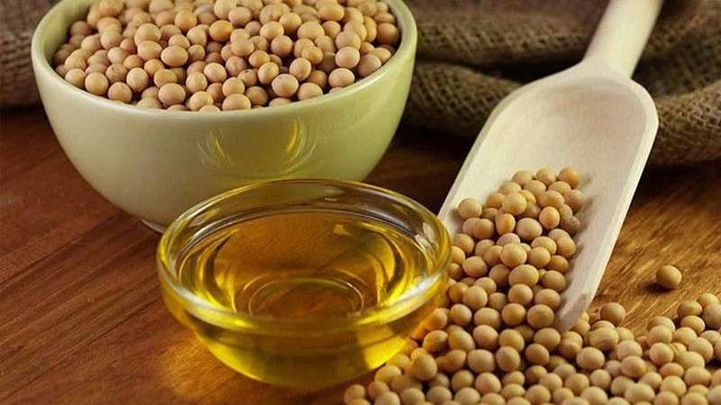 Soybean Oil Replaces Palm Oil as Nepal’s Major Export Product 