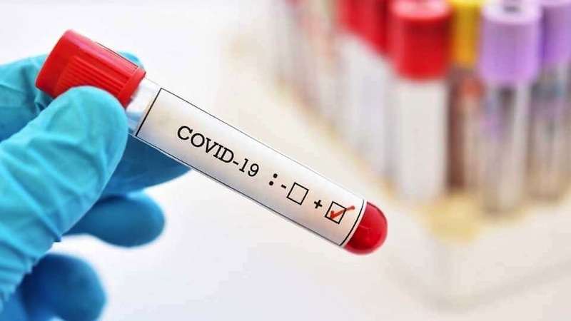 Government Seeks Clarification on Fake Covid-19 Reports from 4 Private Hospitals 