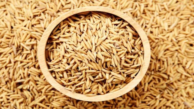 FMTC lags behind in Meeting its Target of Paddy Procurement 