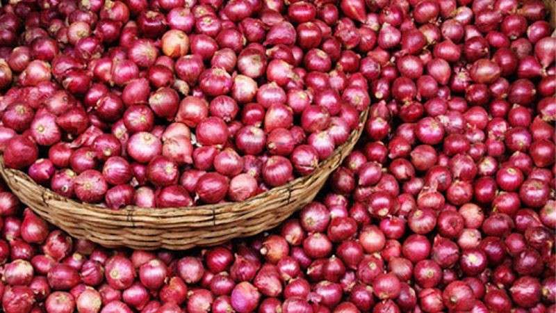 Government Projects Rise in Production of Onions and Potatoes  