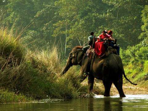 Income of Chitwan National Park Declines