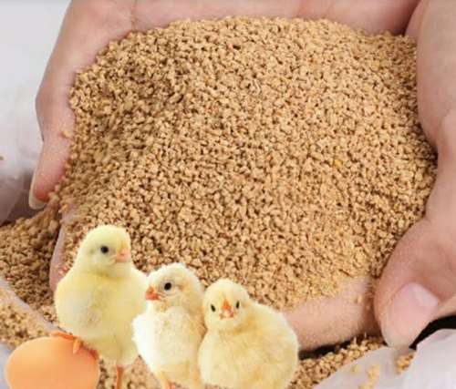 Prices of Poultry Feed Rises due to Increase in Price of Raw Materials