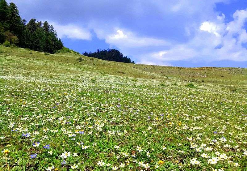 IBN Seeks Proposals for Feasibility Study of Khaptad Tourism Project   