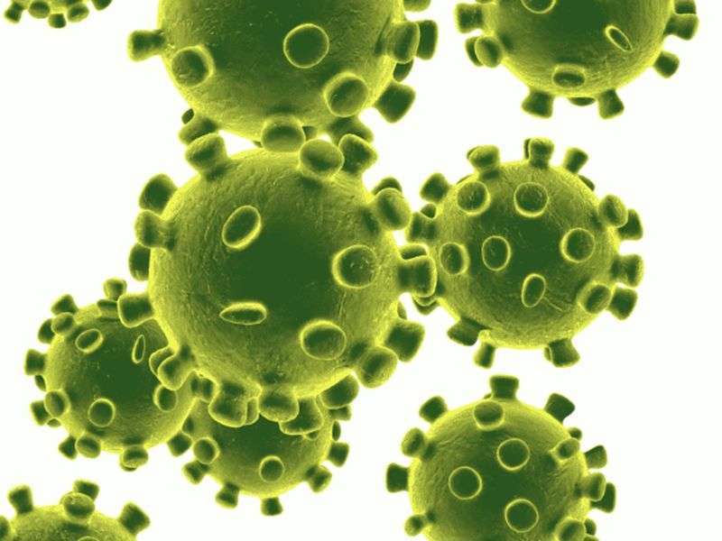 Coronavirus Infection Rises all of a Sudden