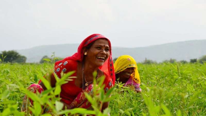 34.4 Percent of Women Own Agricultural Land in Nepal