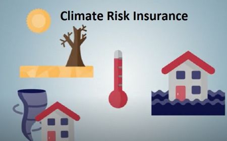 Insurance Companies Instructed to take Climate Risk into Consideration while determining Premium