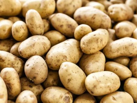 Potato Import Plummets by 30,400 Metric Tons 