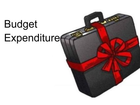 Government Downsizes Budget By 14 Percent 