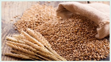 Deadline for Bringing 17,000 Tons of Wheat from India Extended
