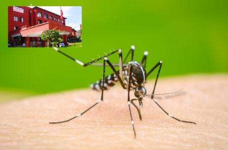 Health Ministry Tells Public to Stay Alert about Dengue   