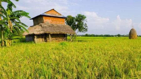 43 Percent Farming Households in Madhes Province Struggle to Meet their Annual Food Requirement