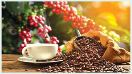 Coffee Imports up by 155%, Exports Increases by 11%