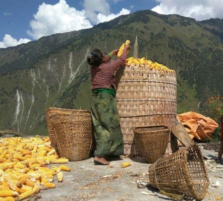 Nepal Accepts USD 20 Million in Grant from World Bank for Food Security  