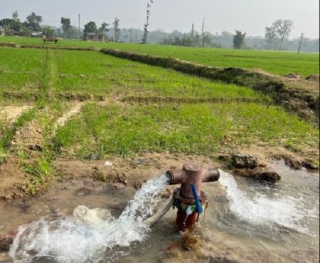 Over 5,400 Hectares of Land in Kailali, Kanchanpur get Irrigation Facility   