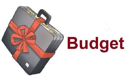 Finance Minister Pledges to Bring a Balanced Budget 