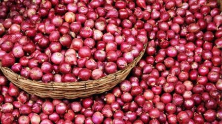 India Imposes Indefinite Ban on Onion Exports 