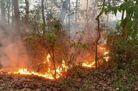 Fire Incidents Increasing Across Country with Prevalence of Dry Condition   