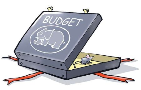 Government Likely to Introduce Large Budget