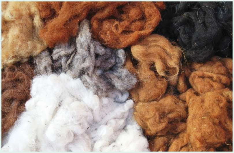 Dimensions of Import Substitution of Wool in Nepal