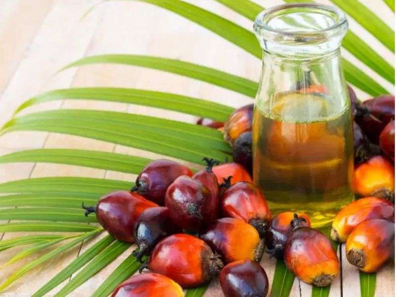 Palm Oil Increases Overall Export of Nepal
