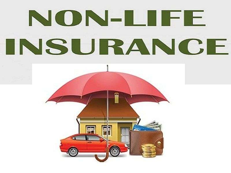 Non-Life Insurance Companies Struggling to Expand their Business