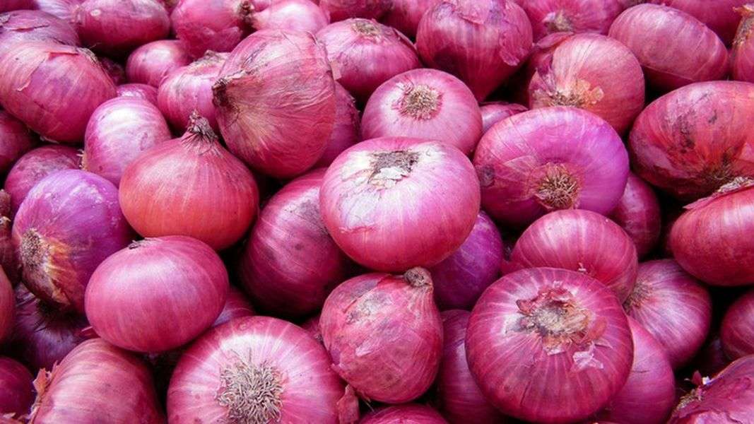 Nepal has Good Prospects of Selling Onions to Bangladesh