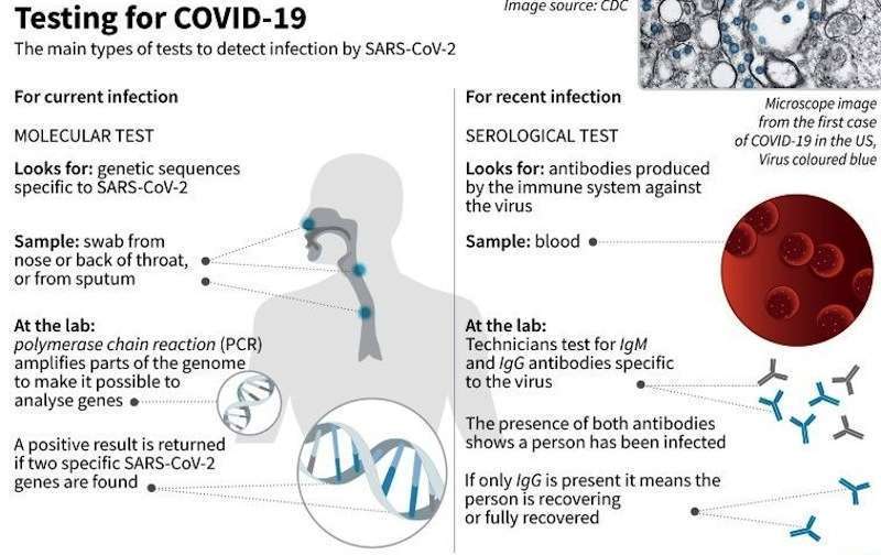 Coronavirus Cases Jump to 42 in Nepal