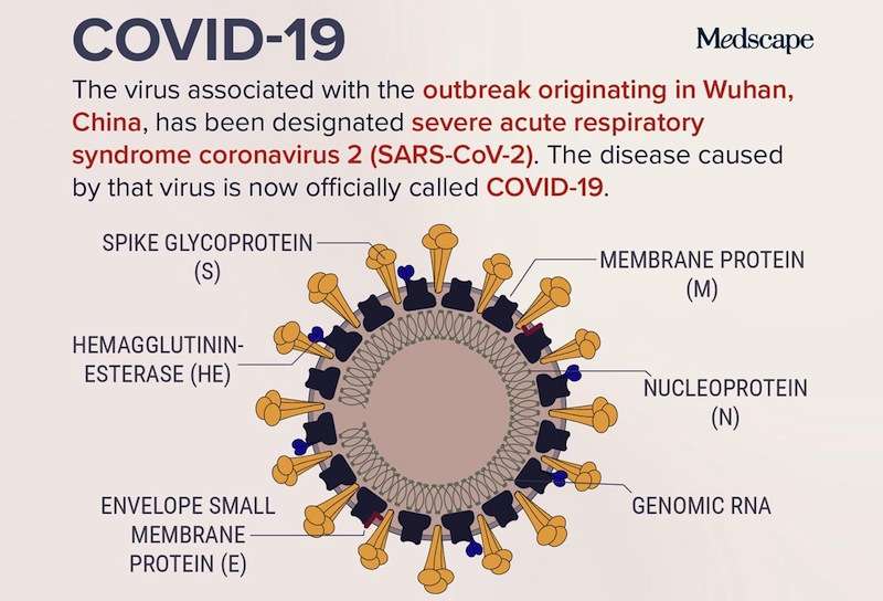 Government Confirms 101 Cases of Coronavirus