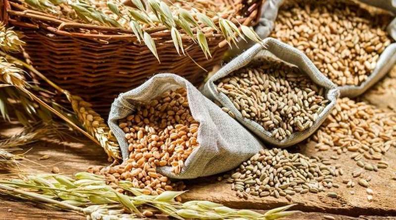 Import of Food Grains up Significantly During Lockdown
