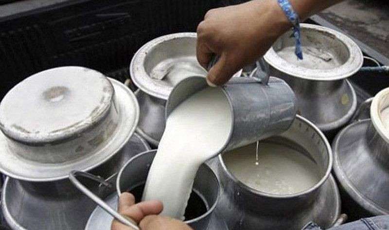 Dairy Industry Losses Amount to Rs 3 billion