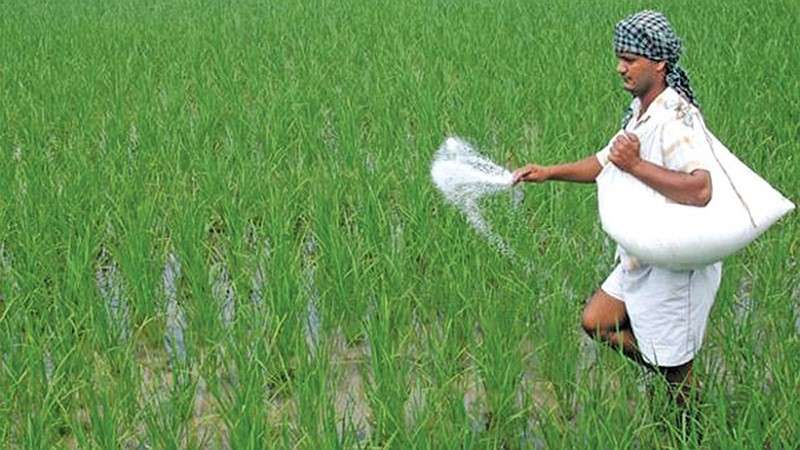 Extreme Shortage of Urea across the Country
