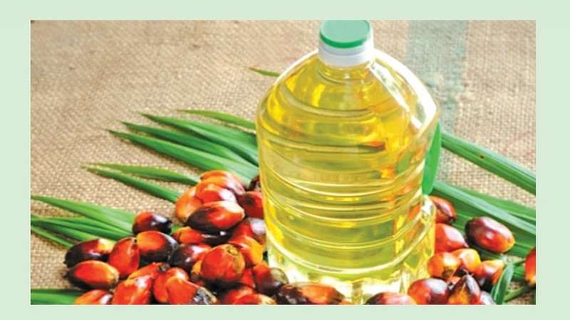 Export of Palm Oil Closed since Three Months 