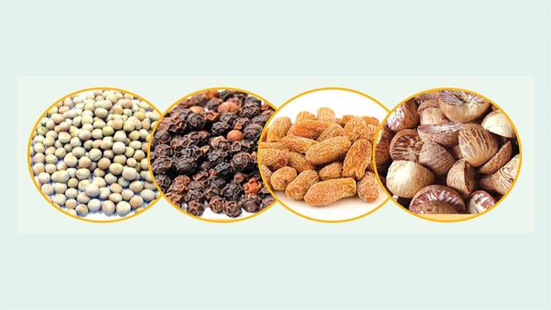Government Working to Release Edible Goods Stuck at Birgunj Dry port