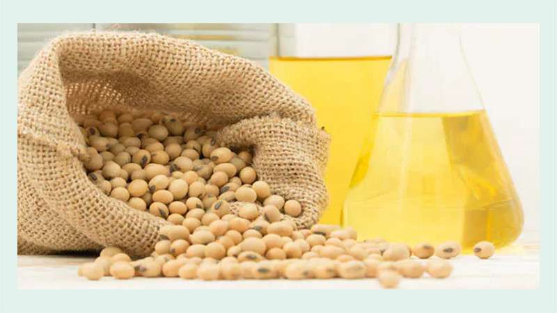 Soybean Oil Replaces Palm Oil as Nepal’s Major Export Product