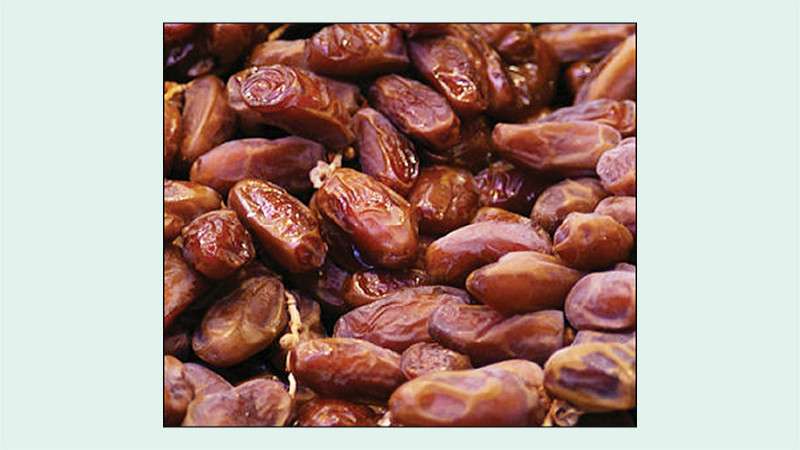 50 Containers of Dates Stopped in Birgunj Start Rotting