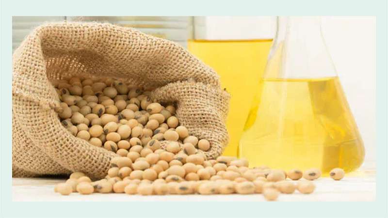 Nepali Exporters Shift the Focus to Soybean Oil 