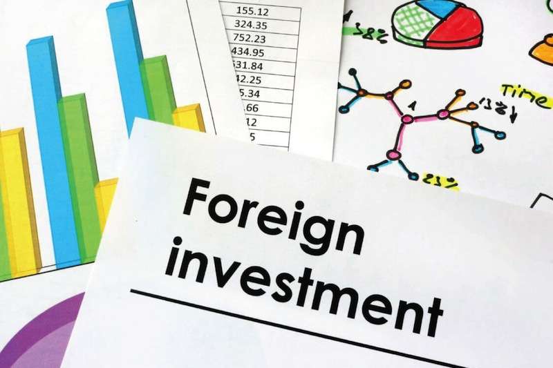 Delay in Implementation of Law Causing Problems in Bringing Investment from Foreign Partners 