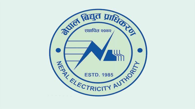 NEA Loses Bid to Supply Electricity to India 