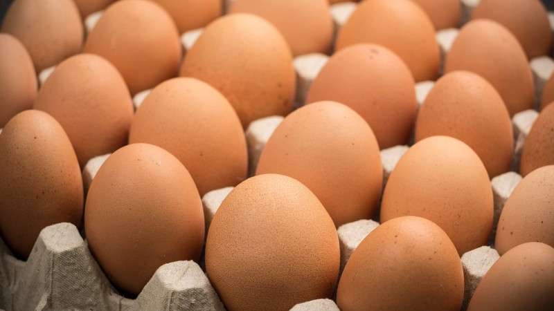 Production Cost of Eggs Declines but Selling Price Remains the Same