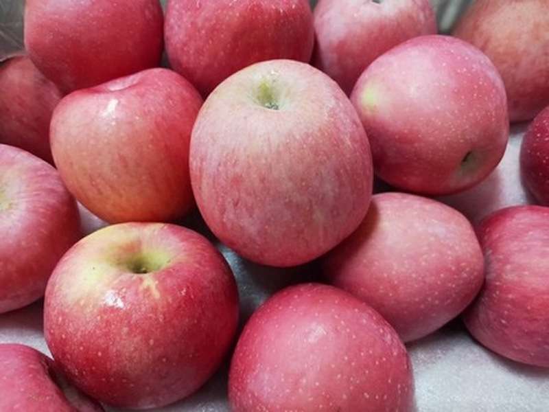 Police Investigating Case of Smuggled Chinese Apples