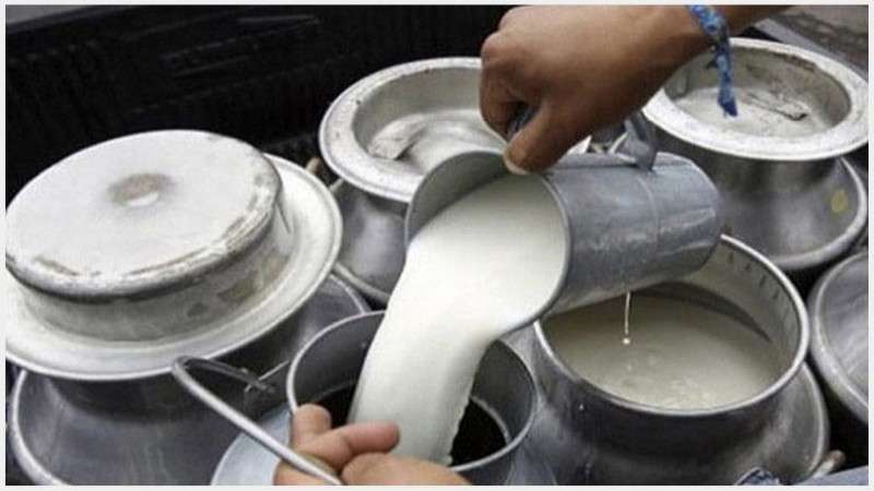 Milk Consumption Only 65% Even After Relaxation of Prohibitory Orders