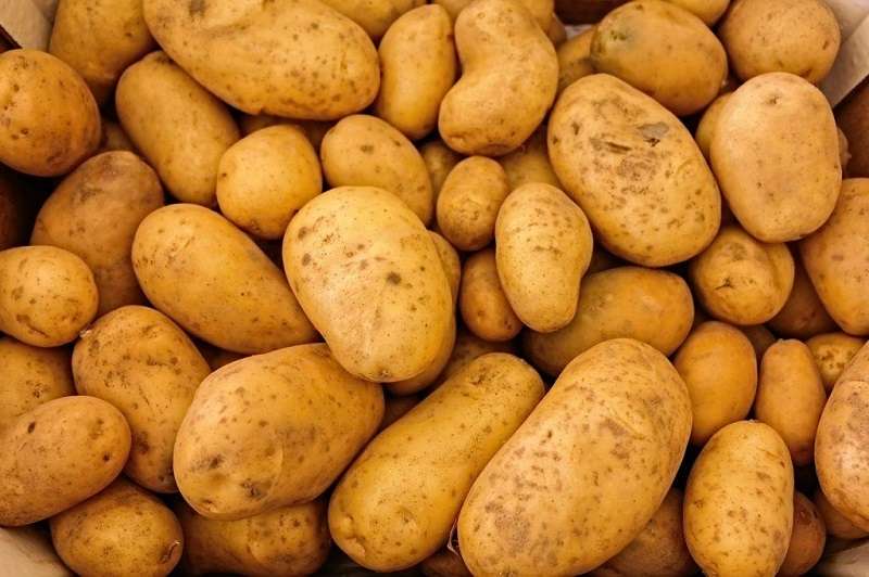Price of Potatoes Fall up to 54 Percent in a Year