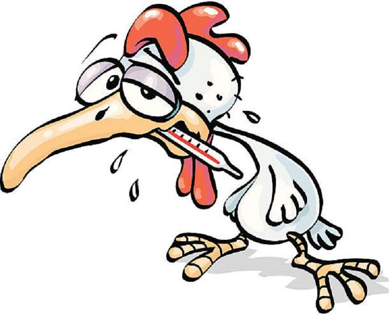 High Alert in Kavre to Avoid Bird-Flu Outbreak   