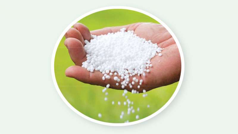 Preparation Afoot to bring 100,000 Tons of Fertilizer from India