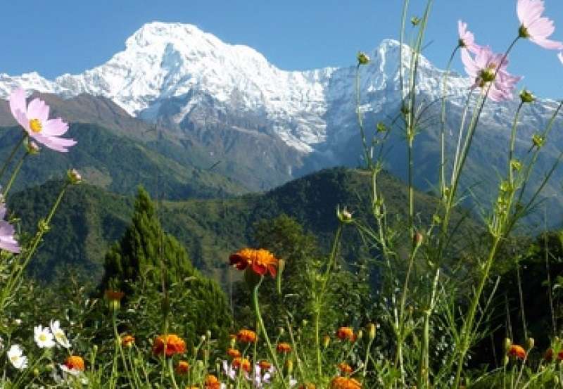 73rd Anniversary of First Ascent of Mt Annapurna being Observed Today  